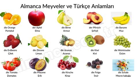 meyve adları türkçe